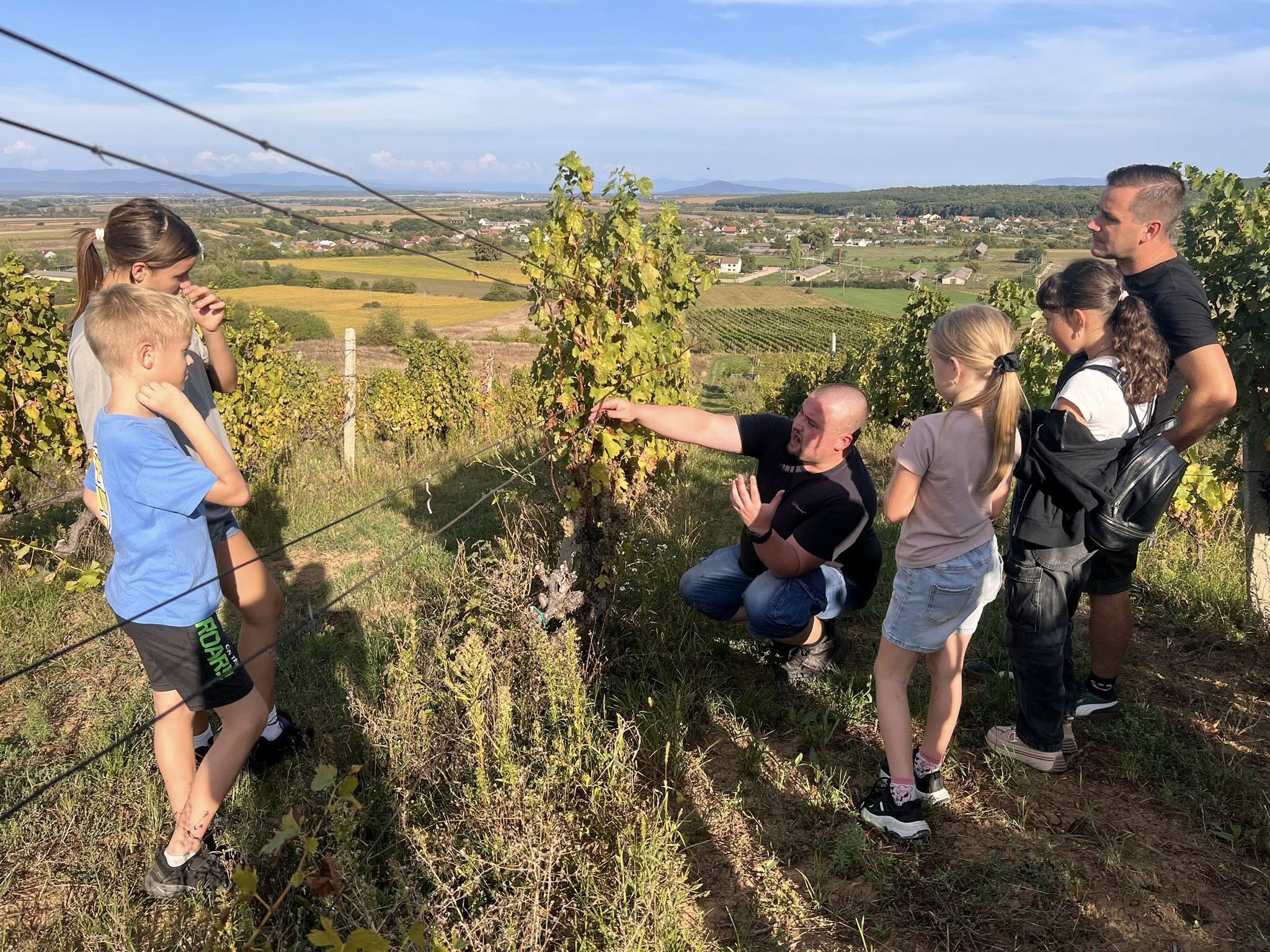 553244962 25032632786330031 1900602625247423316 n